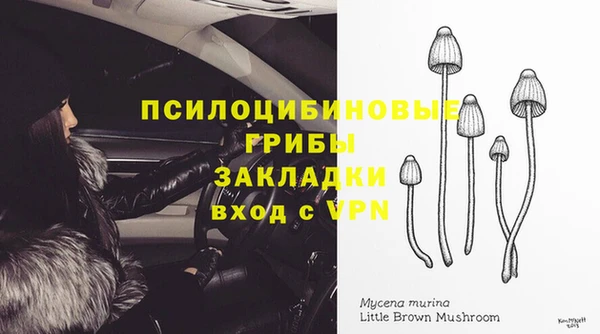 прущий лед Верея